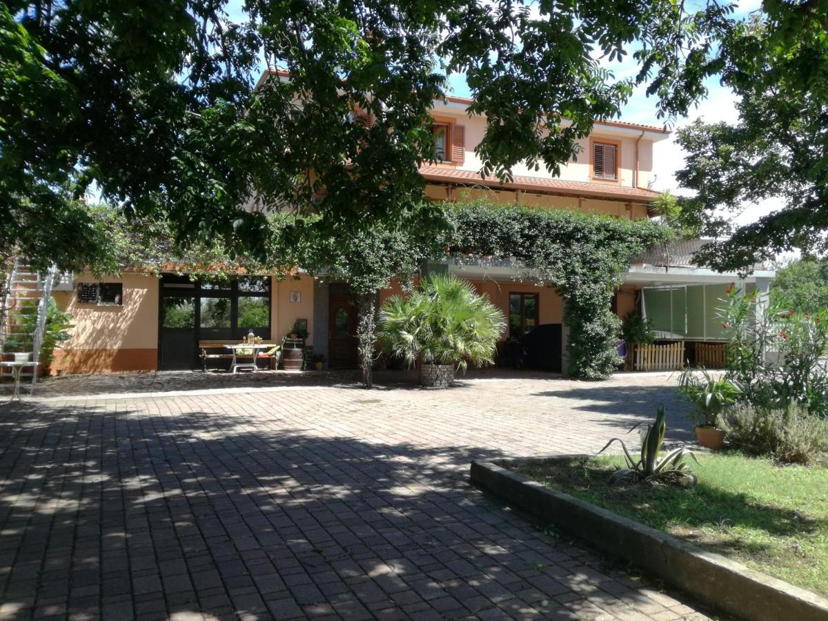 Guesthouse Skofije Ob Parenzani Spodnje Skofije Екстериор снимка